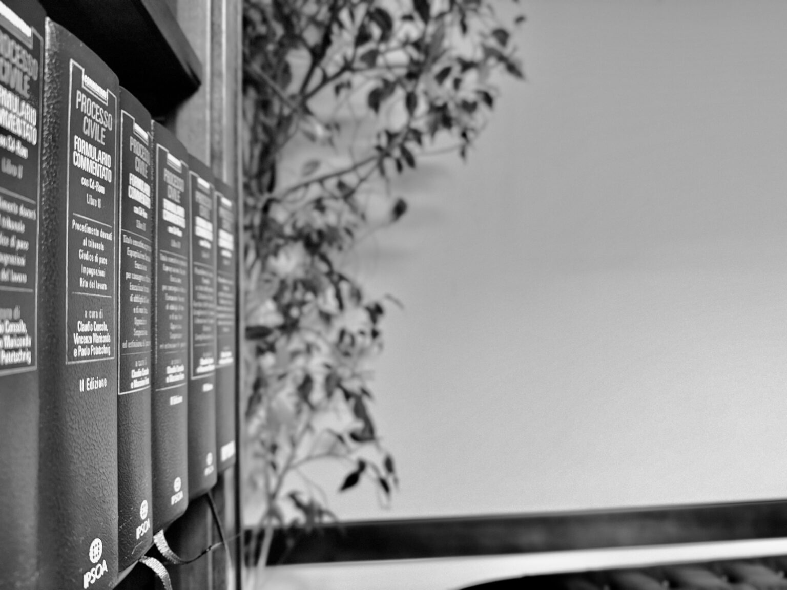 libreria dello studio legale Calvello Foto in bianco e nero della libreria dello studio legale Calvello