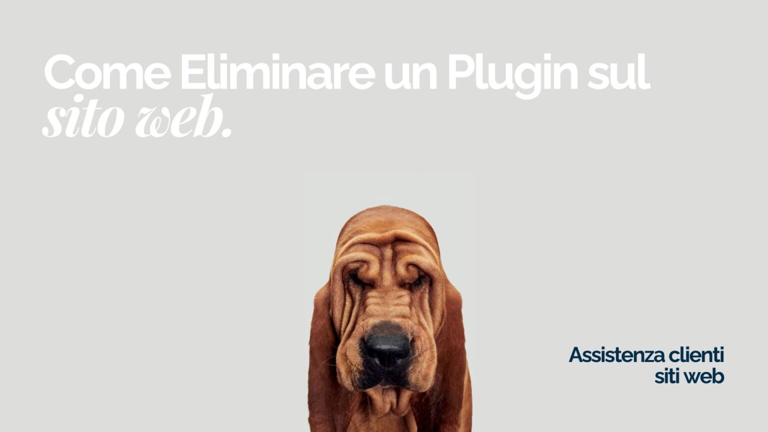 Come Eliminare un Plugin su WordPress