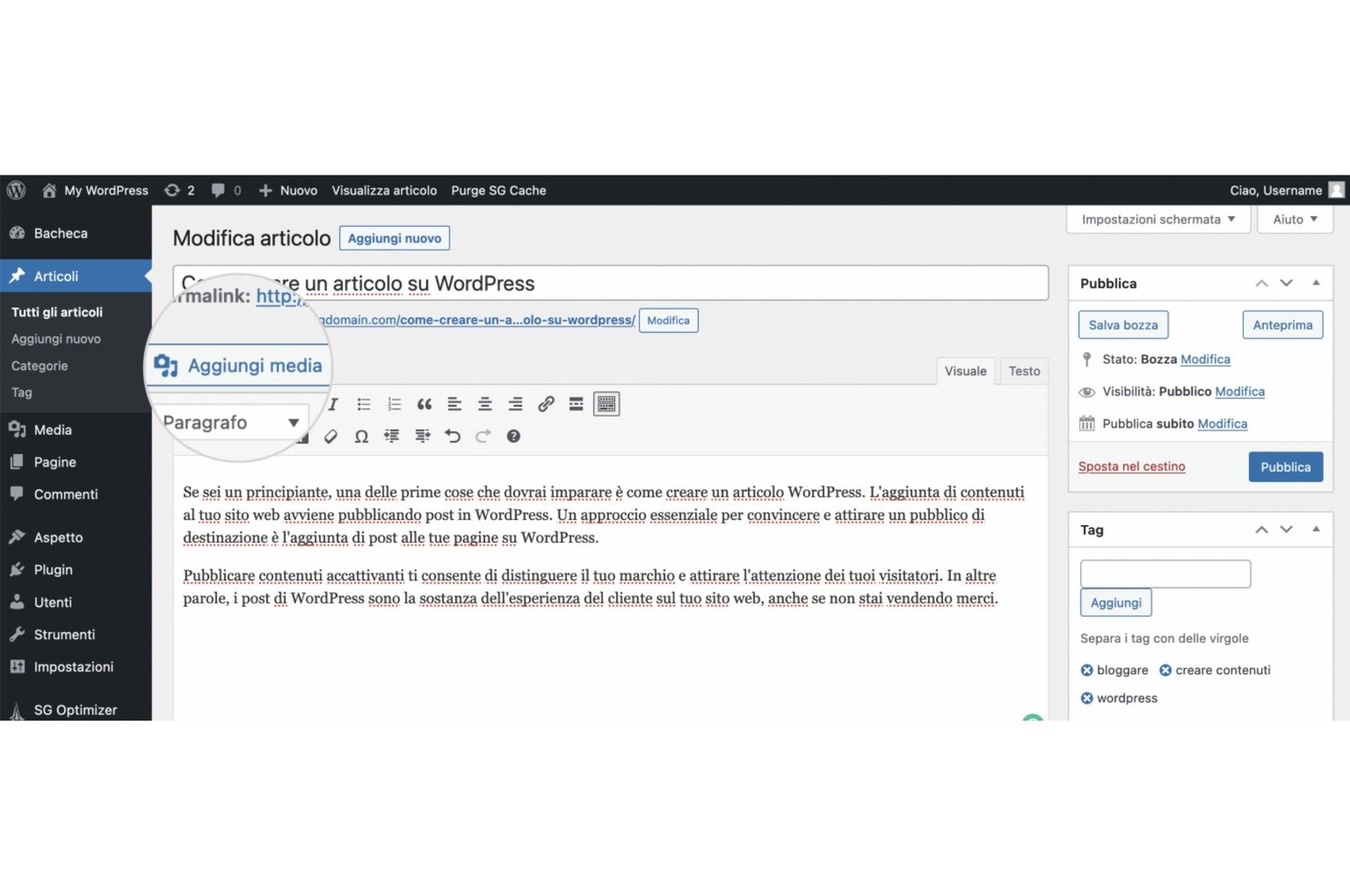 Come inserire media in un articolo su WordPress con l'Editor Classico