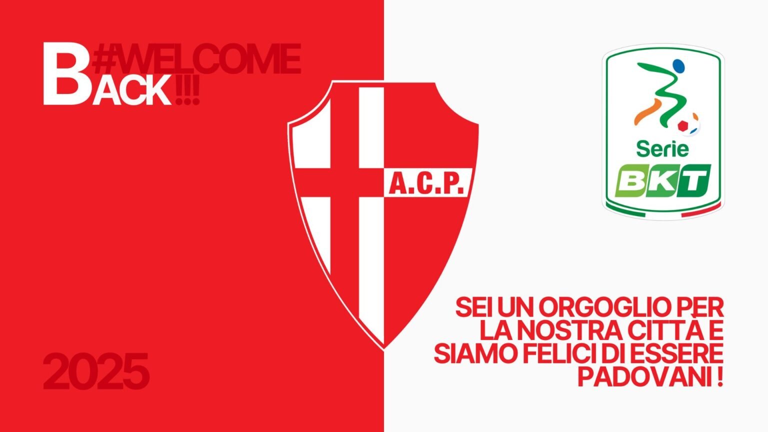 Padova in Serie B L’Orgoglio per la Città della nostra Web Agency!
