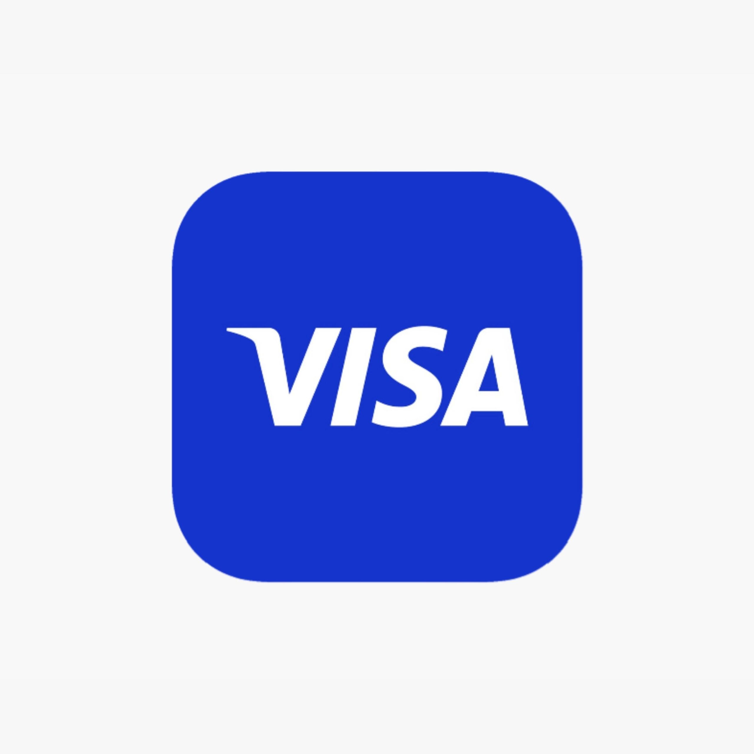 Visa – carta di credito accettata nei pagamenti online su