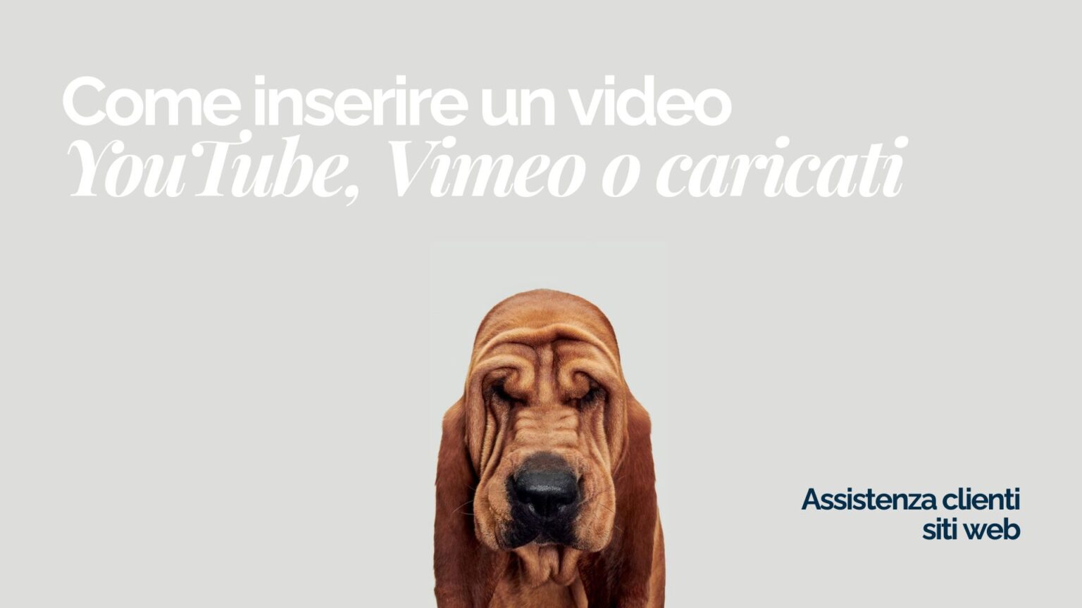 Come inserire un video nel sito web (YouTube, Vimeo o caricati) &ndash; Guida SEO completa passo passo