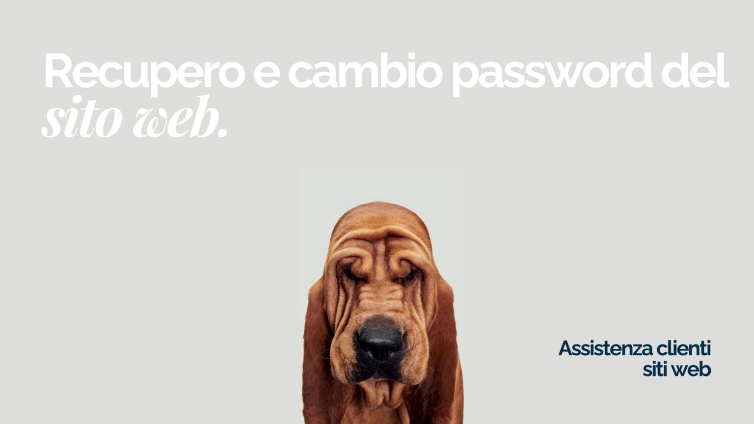 Recupero e cambio password su WordPress: guida completa per i nostri clienti